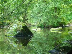 Promenade La Glane (14)